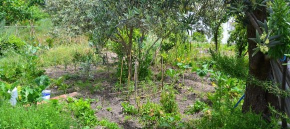 Casa de 5 dormitorios en Portalegre, Portugal No. 173530 2