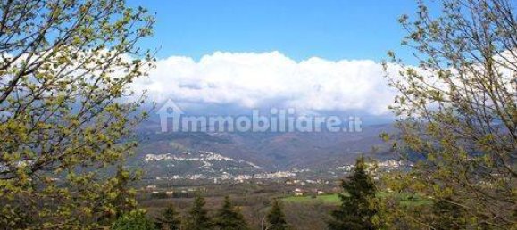 13 غرف نوم فيلا في Paterno Calabro, Italy رقم 165201 41