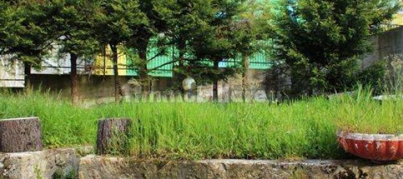 13 غرف نوم فيلا في Paterno Calabro, Italy رقم 165201 19