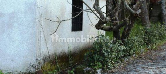 13 غرف نوم فيلا في Paterno Calabro, Italy رقم 165201 37