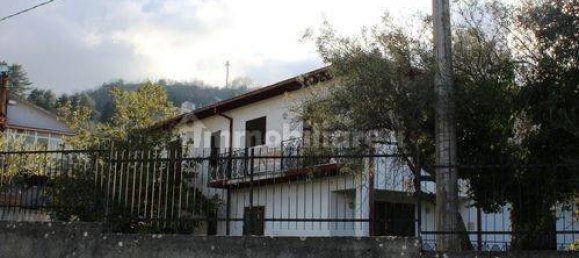 13 غرف نوم فيلا في Paterno Calabro, Italy رقم 165201 4