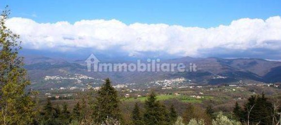 13 غرف نوم فيلا في Paterno Calabro, Italy رقم 165201 40