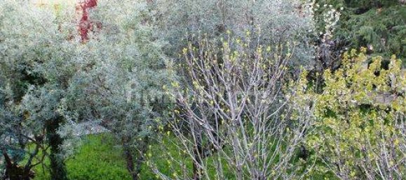 13 غرف نوم فيلا في Paterno Calabro, Italy رقم 165201 15