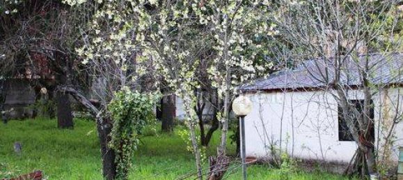 13 غرف نوم فيلا في Paterno Calabro, Italy رقم 165201 34