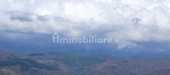 13 غرف نوم فيلا في Paterno Calabro, Italy رقم 165201 42