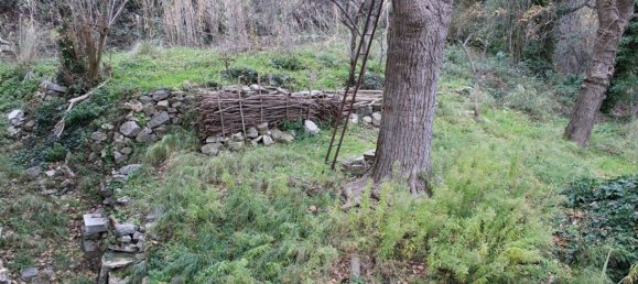 7 rooms House in Bomba, Italy No. 37454 4