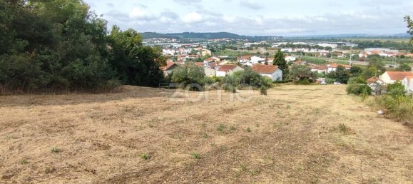 Grundstück in Coimbra, Portugal 4571m², Nr. 90217 5