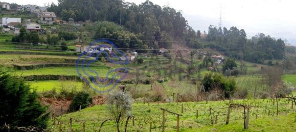 1 bedroom House in Penafiel, Portugal No. 37434 13