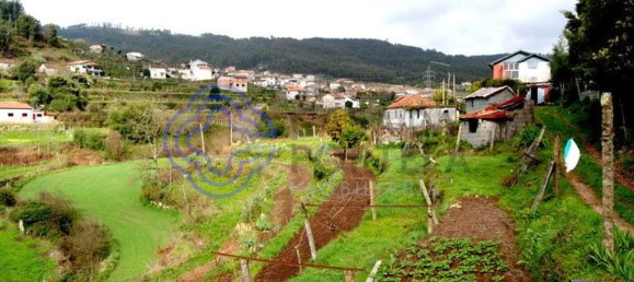 1 bedroom House in Penafiel, Portugal No. 37434 4