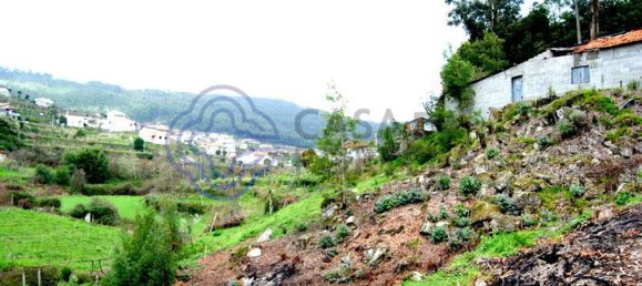 1 bedroom House in Penafiel, Portugal No. 37434 2