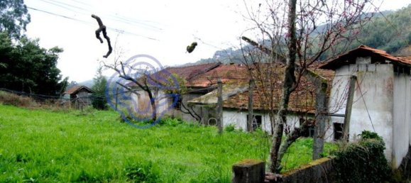 1 bedroom House in Penafiel, Portugal No. 37434 9