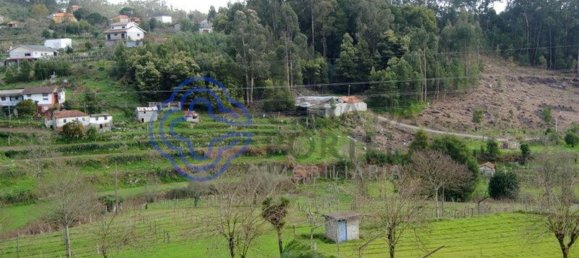 1 bedroom House in Penafiel, Portugal No. 37434 17