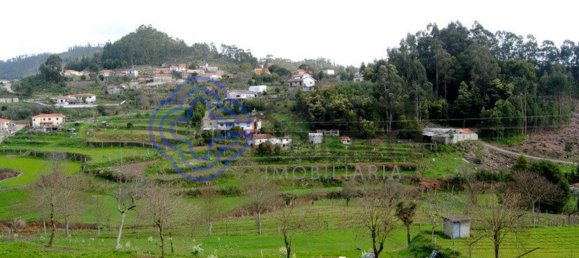 1 bedroom House in Penafiel, Portugal No. 37434 15