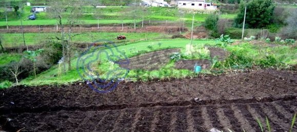 1 bedroom House in Penafiel, Portugal No. 37434 8