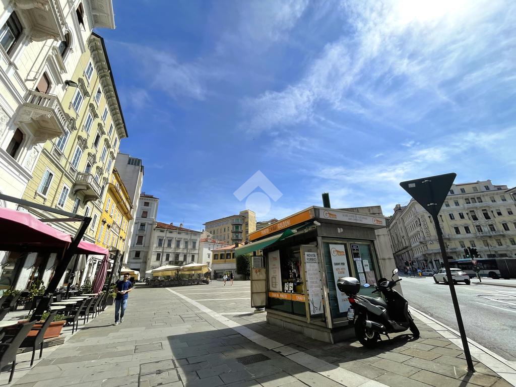 1 room Commercial property in Trieste, Italy No. 257647