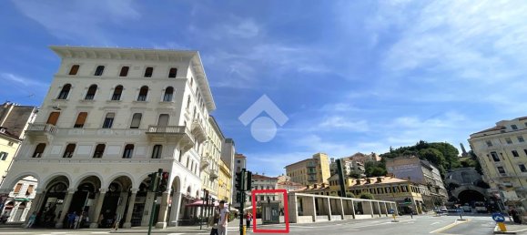 1 room Commercial property in Trieste, Italy No. 257647 14