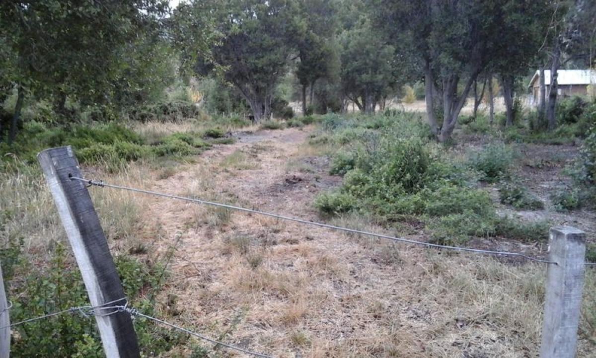 Grundstück in Neuquen, Argentina, Nr. 39408