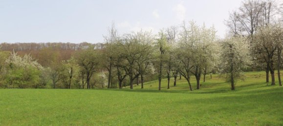 Bungalow T2 em Eichsfeld, Germany N.º 258756 5