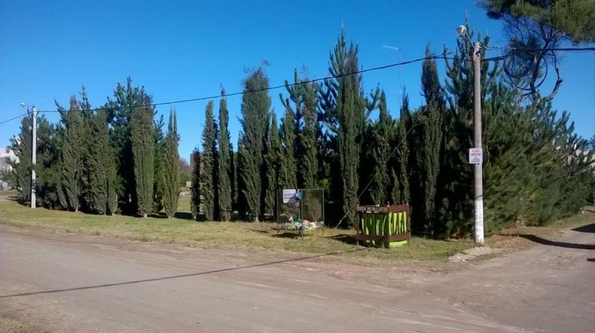 Terreno en San Cayetano, Argentina No. 42888