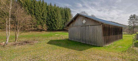 Замки и поместья с 7 спальнями в Фрайунг-Графенау, Германия № 211907 32