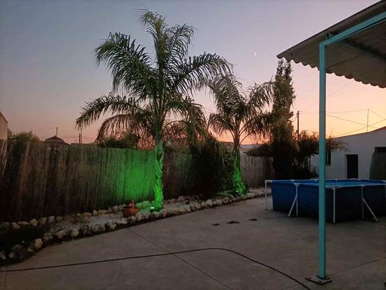  قطعة أرض في La Carlota, Spain 1600متر مربع رقم 198621