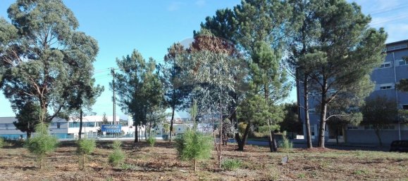  قطعة أرض في Rio Meao, Portugal 631متر مربع رقم 87121 3