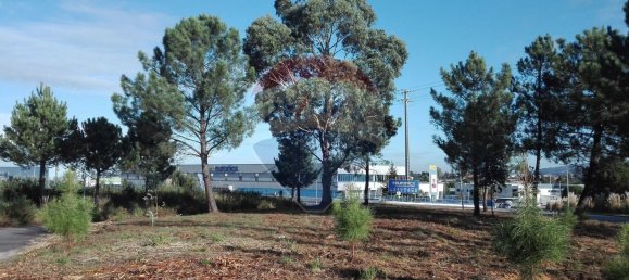  قطعة أرض في Rio Meao, Portugal 631متر مربع رقم 87121 2