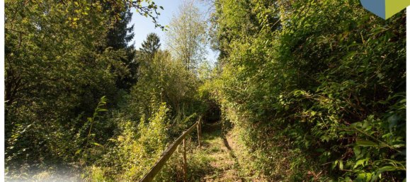 Terreno en Gramastetten, Austria No. 162324 5