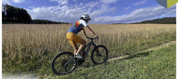 Terreno en Gramastetten, Austria No. 162324 15