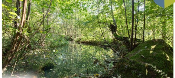 Terreno en Gramastetten, Austria No. 162324 8