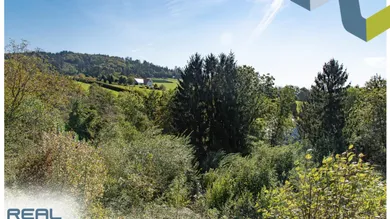 Terreno en Gramastetten, Austria No. 162324