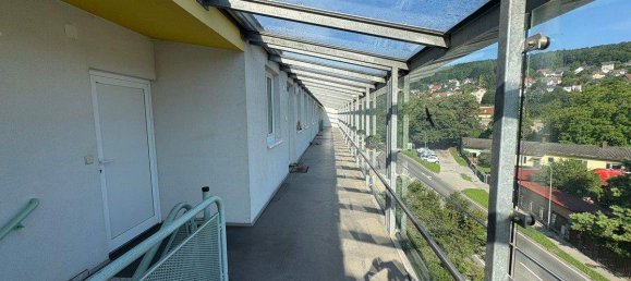 3 rooms Apartment in Purkersdorf, Austria No. 244667 5