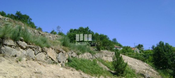 4200m² Land in Marco de Canaveses, Portugal No. 61875 4