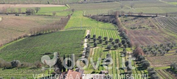 8 rooms House in Montepulciano, Italy No. 39313 18