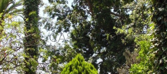 Casa T6 em Funchal, Portugal N.º 84774 6