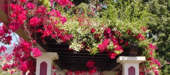 Casa T6 em Funchal, Portugal N.º 84774 7