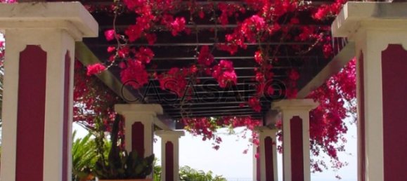 Casa T6 em Funchal, Portugal N.º 84774 8