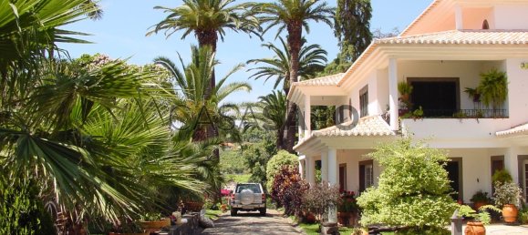 Casa T6 em Funchal, Portugal N.º 84774 2