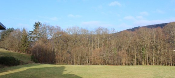 5 غرف نوم منزل في Bergstrase, Germany رقم 131811 6