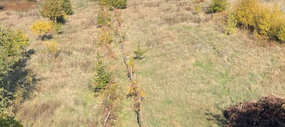 7 rooms House in Tortona, Italy No. 108607 14