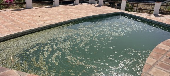 3 غرف نوم منزل في Malaga, Spain رقم 54110 34