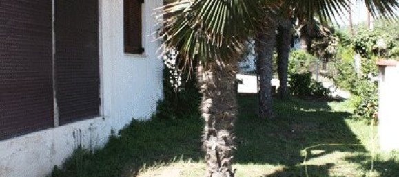 Недвижимость с 2 спальнями в Халкидики, Греция № 8160 12