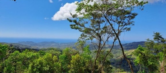 Земельный участок в Никоя, Коста-Рика № 1832 4