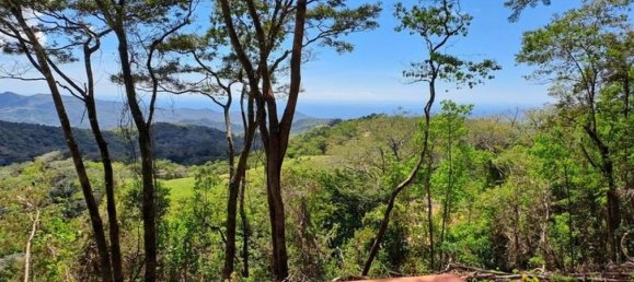 Земельный участок в Никоя, Коста-Рика № 1832 3