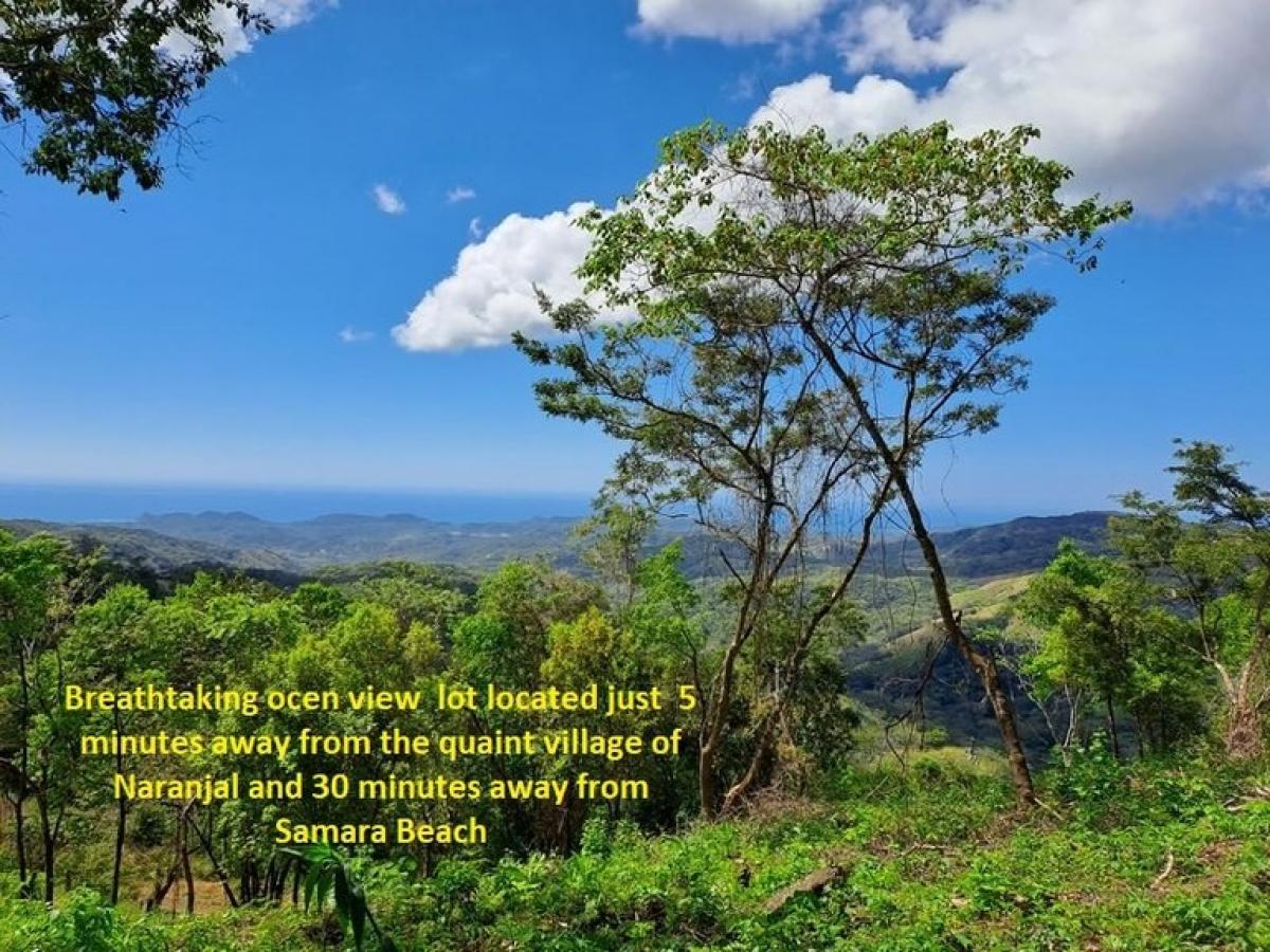 Земельный участок в Никоя, Коста-Рика № 1832