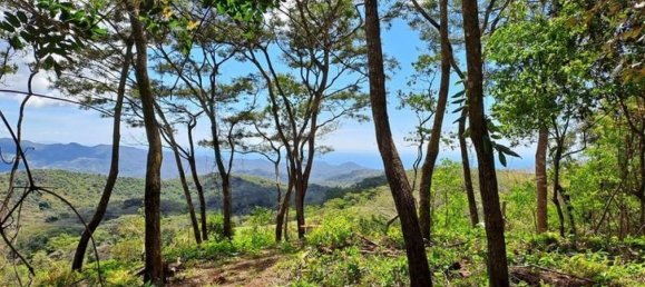 Земельный участок в Никоя, Коста-Рика № 1832 6