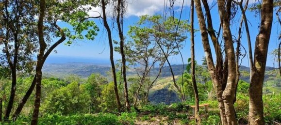 Земельный участок в Никоя, Коста-Рика № 1832 5