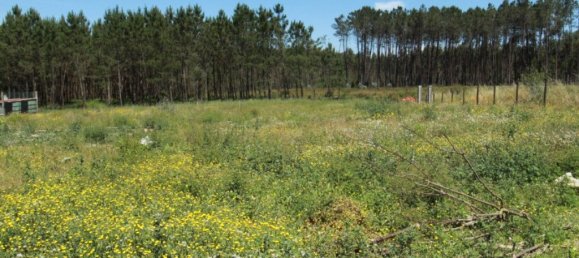 7 غرف نوم منزل في Leiria, Portugal رقم 152732 41