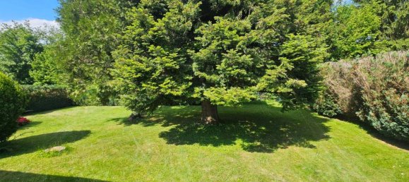 4-salle Maison à Sieghartskirchen, Austria No. 138223 6