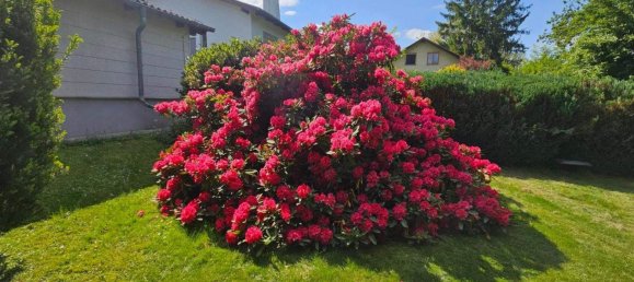 4-salle Maison à Sieghartskirchen, Austria No. 138223 4